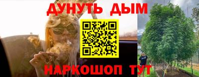 прущие грибы Балаково