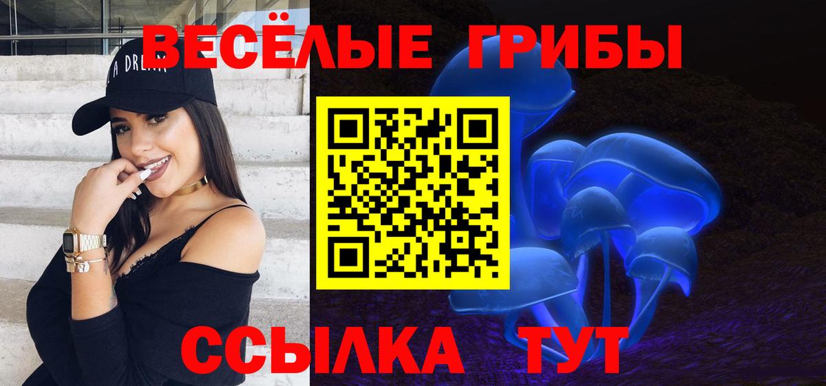 Псилоцибиновые грибы MAGIC MUSHROOMS  Домодедово  где купить наркотик  Псилоцибиновые грибы Cubensis 